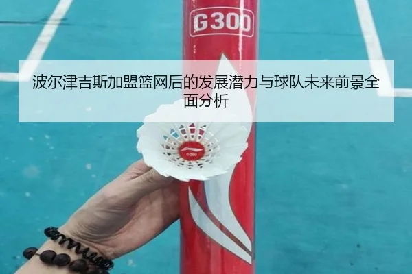 波尔津吉斯加盟篮网后的发展潜力与球队未来前景全面分析